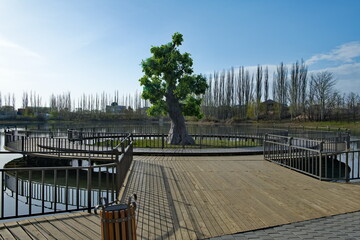 Kyrgyzstan, the northern coast of Lake Issyk-Kul. View of an unusual park near the famous village...