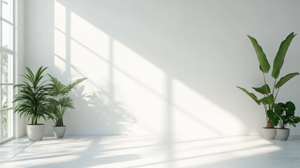Modern Minimalist Interior with White Walls and Green Plants
