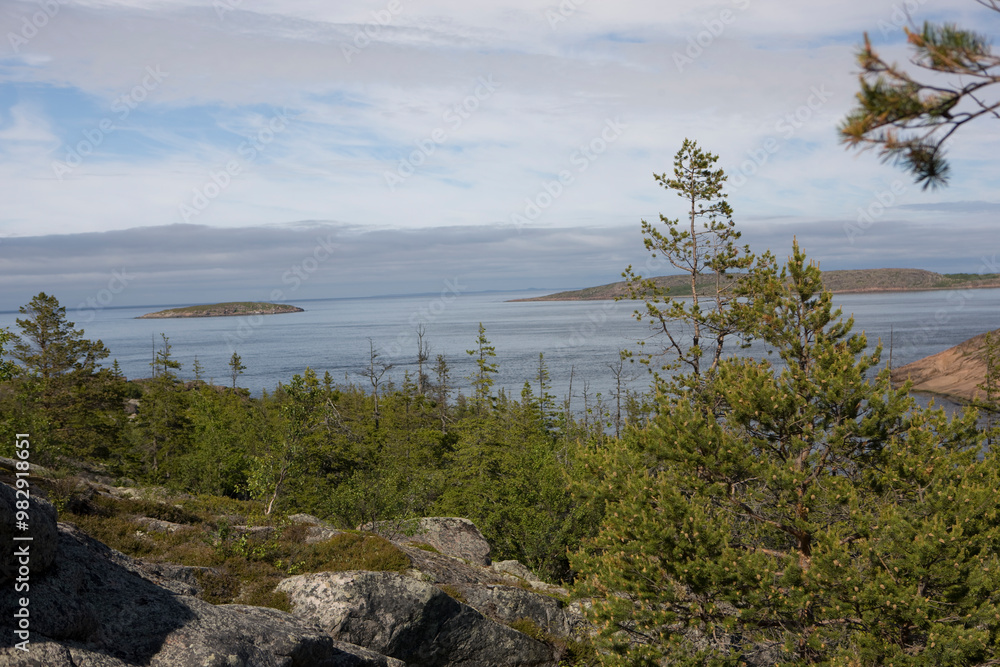 Poster Russia Arkhangelsk region Kuzova archipelago on a cloudy summer day