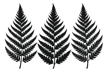 Obraz premium A pack of fern leaf silhouettes vector illustration