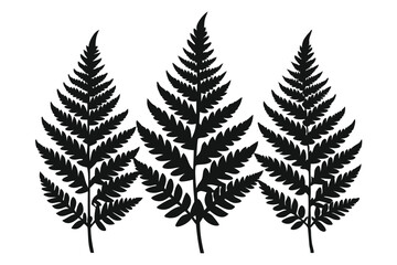 A pack of fern leaf silhouettes vector illustration