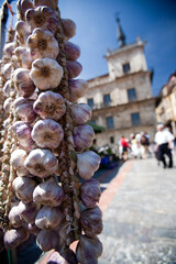 Colorful Garlic Display at Plaza Mayor Market in Leon