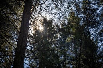 Hiking near the Riva waterfalls - Italy
