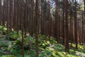Obraz premium Hiking near the Riva waterfalls - Italy