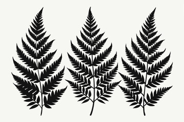 A pack of fern leaf silhouettes vector illustration 
