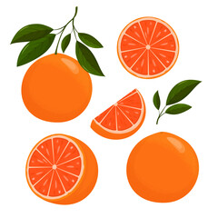 Fresh grapefruit slices and whole fruits with leaves