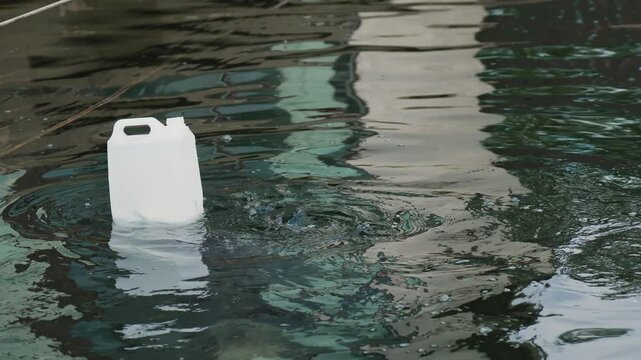 Grey Seal Playing With Plastic Bottle in Marine Sanctuary. Phoca, Nerpa, Grey or Spotted seal swimming in water. Climate change, global warming, ocean sea wildlife