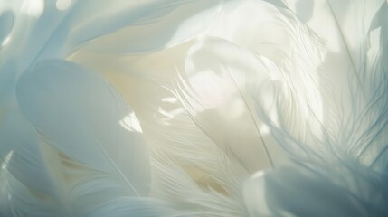 ethereal white feathers create dreamy backdrop delicate textures and soft shadows evoke lightness and purity perfect for romantic or angelic themes