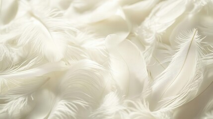 ethereal white feathers create dreamy backdrop delicate textures and soft shadows evoke lightness and purity perfect for romantic or angelic themes