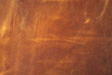 Cattle skin texture. Abstract background. TAN