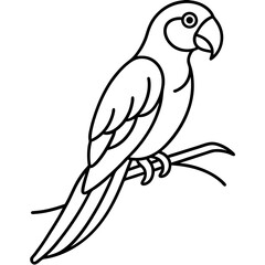 Abstract Parrot Perch Clean Line Art on White Vector
