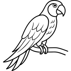 Abstract Parrot Perch Clean Line Art on White Vector