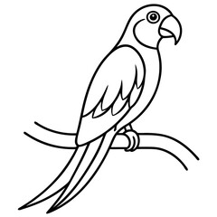 Abstract Parrot Perch Clean Line Art on White Vector