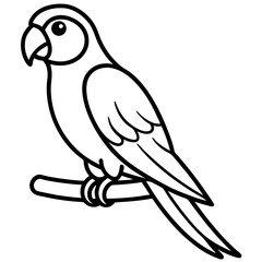 Abstract Parrot Perch Clean Line Art on White Vector