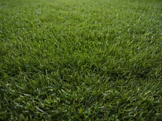 Obraz premium Lush Green Grass Texture Background