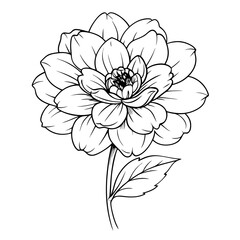 Line art illustration of a blooming flower with detailed petals and leaves on a white background