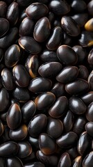 A macro shot of GMO canola seeds, their smooth, glossy texture highlighting the increased oil production and efficiency made possible by genetic modification.