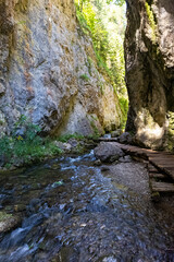 Rzeka, Kanion
