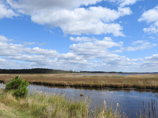 The beautiful scenery of the wetlands within the Blackwater National Wildlife Refuge, during the autumn season, Dorchester County, Cambridge, Maryland.