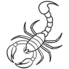 Minimalist Scorpion Line Art with Curved Pincers and Tail