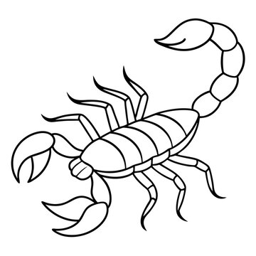 recommend clip art: Minimalist Scorpion Line Art with Curved Pincers and Tail