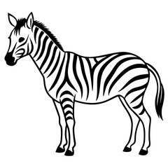 Minimalistic Zebra Line Art with Abstract Black and White Stripes