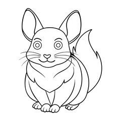chinchilla vector art line on white background