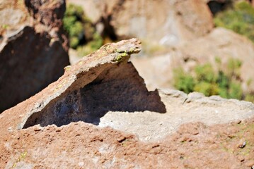 A close-up of a rock formation with a wave-like shape in a natural setting.