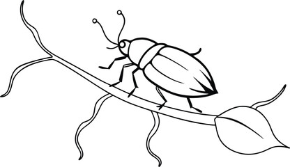 Beetle Crawling on a Vine Vector Illustration for Kids Coloring Fun
