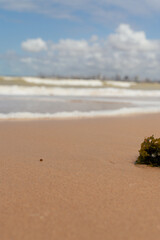 ONDA SE FORMANDO EM PERFEITA SINCRONIA COM A NATUREZA (WAVE FORMING IN PERFECT SYNCHRONY WITH NATURE)