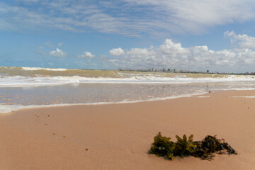 ONDA SE FORMANDO EM PERFEITA SINCRONIA COM A NATUREZA (WAVE FORMING IN PERFECT SYNCHRONY WITH NATURE)