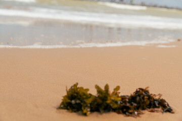  ONDA SE FORMANDO EM PERFEITA SINCRONIA COM A NATUREZA(WAVE FORMING IN PERFECT SYNCHRONY WITH NATURE)