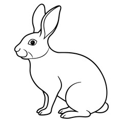 Minimalist Rabbit Line Drawing on White Canvas
