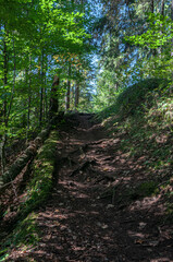 Bicaz, Red Lake is a very beautiful place in the mountains of Romania