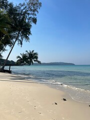 Ocean
Waves
Beach
Coastline
Seashore
Tide
Sand
Marine
Horizon
Breeze
Andaman Sea
Gulf of Thailand
Phuket
Krabi
Koh Samui
Pattaya
Phi Phi Islands
Koh Tao
Hua Hin
Similan Islands 
Seafood
Shrimp
Crab
