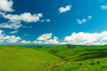Beautiful landscape with low green hills in sunny weather. Caucasus