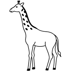 Obraz premium Minimalist Giraffe Outline with Extended Neck on White