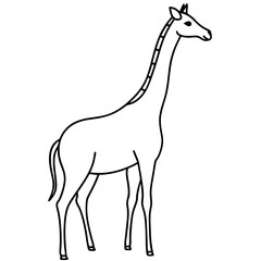 Minimalist Giraffe Outline with Extended Neck on White
