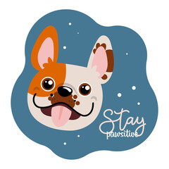 Portrait of a cute dog and lettering Stay positive. Baby print, postcard, vector