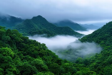 Lush green mountains with misty valleys and a serene atmosphere.