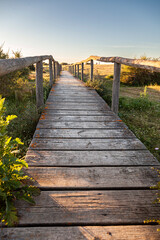 pasarela como un puente de madera con tablones en el campo para atravesar un rio  con colores del atardecer