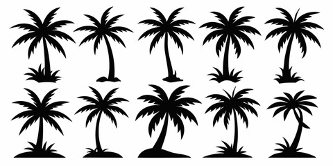 palm tree silhouette, palm tree in different styles vector set of palm tree