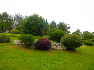 beautiful view of the park