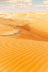 Beautiful desert dunes with creamy sand in the Tal Vast Moreeb desert, Liwa, Abu Dhabi. Here the desert is so unique with different hues of rolling smooth sand to as far as the eyes can see. 