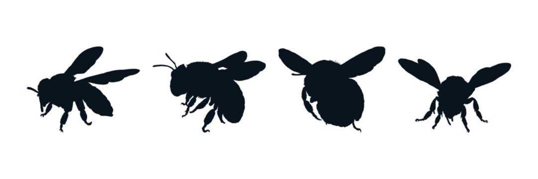 Bee silhouette collection vector illustration