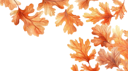 Autumn leaves in shades of orange isolated on a transparent background.