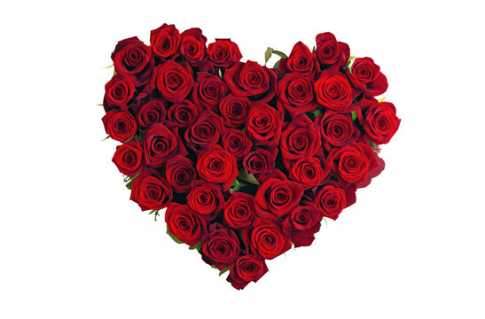 Bouquet of dark red roses arranged in heart shape, isolated on transparent background. Generative AI