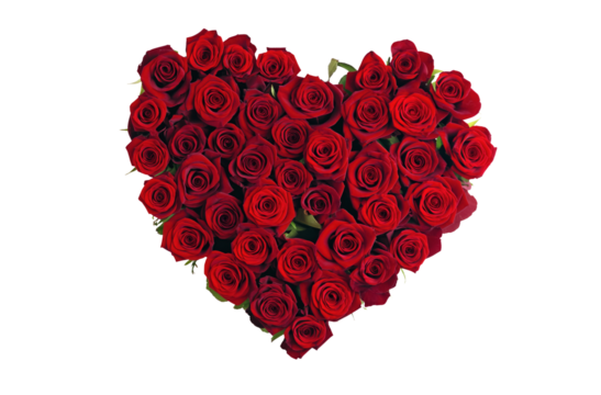 Bouquet of dark red roses arranged in heart shape, isolated on transparent background. Generative AI