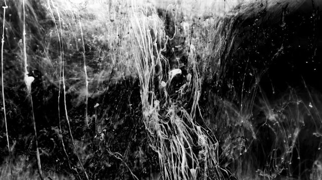 Black ink artistic flow splatter spots spills white paper beautiful reveal dripping streaks spread fluid ink alpha matte isolated watercolor ink drops transition	
