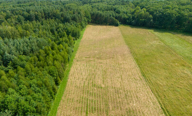 Aerial view of green woods and farmland showcases the beauty of nature and agriculture. Perfect for eco-friendly and outdoor themes.